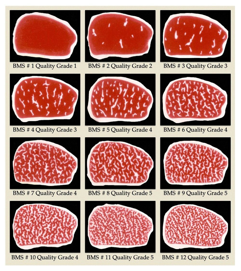 Der Beef Marbling Score (BMS): Ein tiefgehender Blick in die Qualität von Wagyu